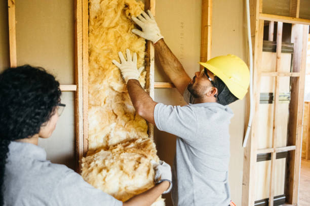Best Insulation Replacement Services  in Reidville, SC
