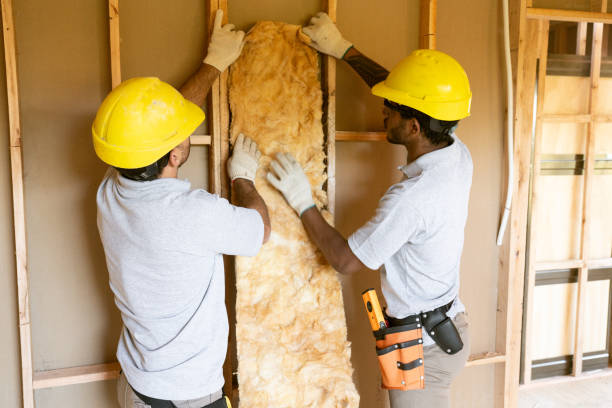 Insulation Replacement Services in Reidville, SC