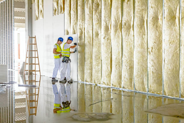 Best Residential Insulation Services  in Reidville, SC